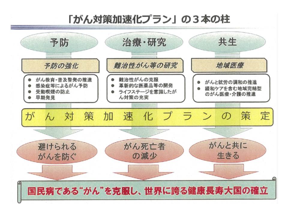 がん死亡率減少目指し 予防 早期発見 や 均てん化 などの取り組みを加速化 がん対策推進協議会 Gemmed データが拓く新時代医療