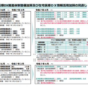 医療DX推進体制整備加算、点数を「電子処方箋導入＞未導入」とし、2025年4－9月のマイナ保険証利用率基準も新設定—中医協総会（1）