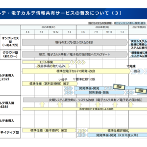 医科クリニックでは「標準型電子カルテ」の導入を、病院では「電子カルテ情報共有サービス」対応可能なシステム改修をまず推進—厚労省