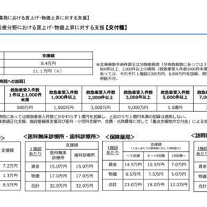病院経営の危機踏まえ、1床当たり「賃金分8万4000円、物価分11万1000円」の緊急補助、救急病院では加算も―2025年度補正予算案