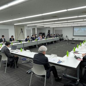 2028年度までに、全病院が「急性期拠点、高齢者救急等のどの機能を果たすか」を決定・明確化—地域医療構想・医療計画検討会